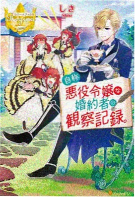 日本人妻访谈录